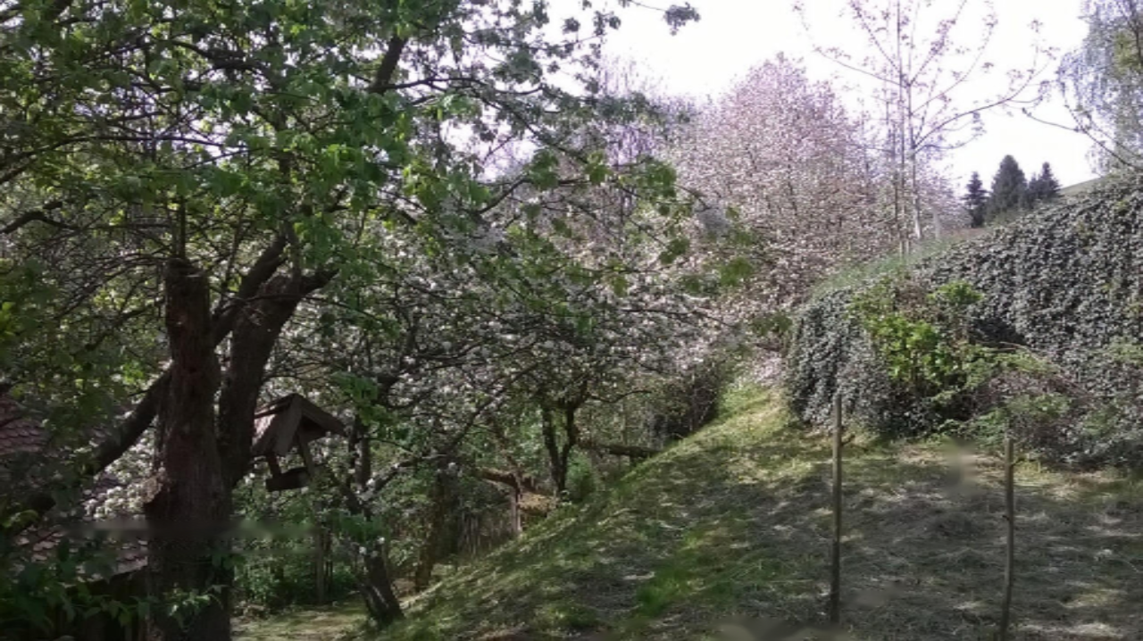 House in Ruše, Slovenia, 193 m² - picture 18