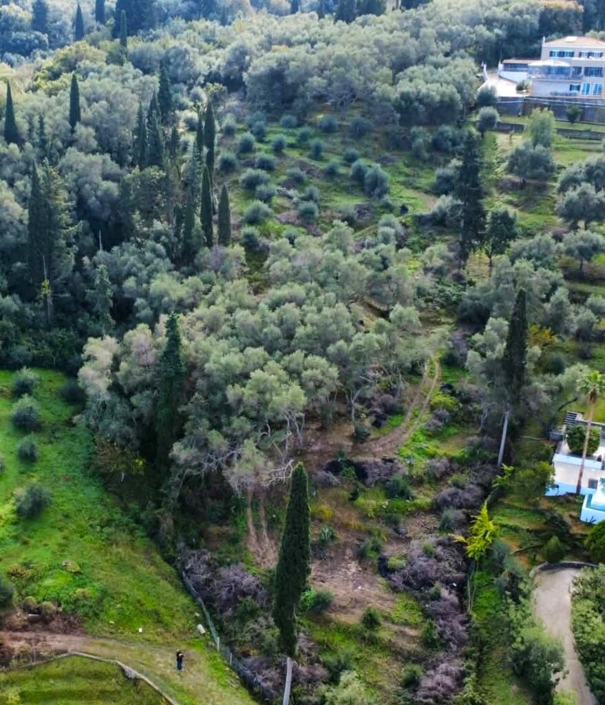 Land in Corfu, Greece, 7 000 m² - picture 1