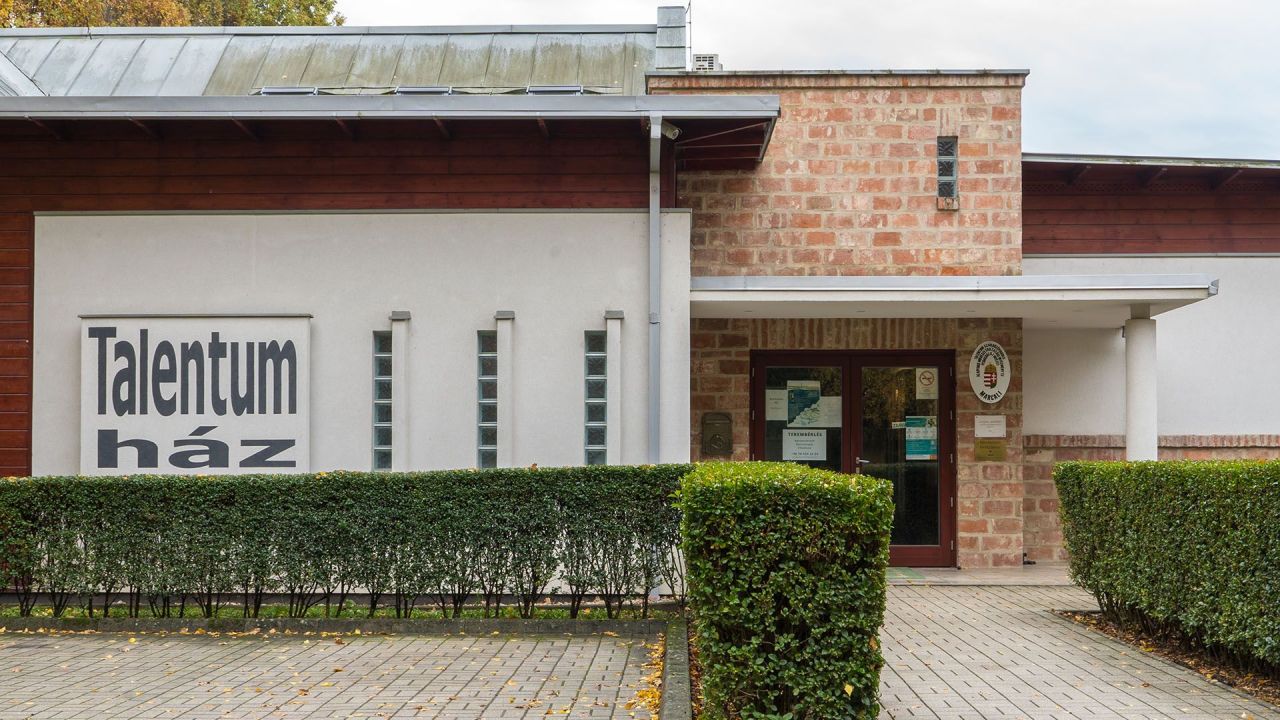 Propiedad comercial en Balaton, Hungría, 308 m² - imagen 6