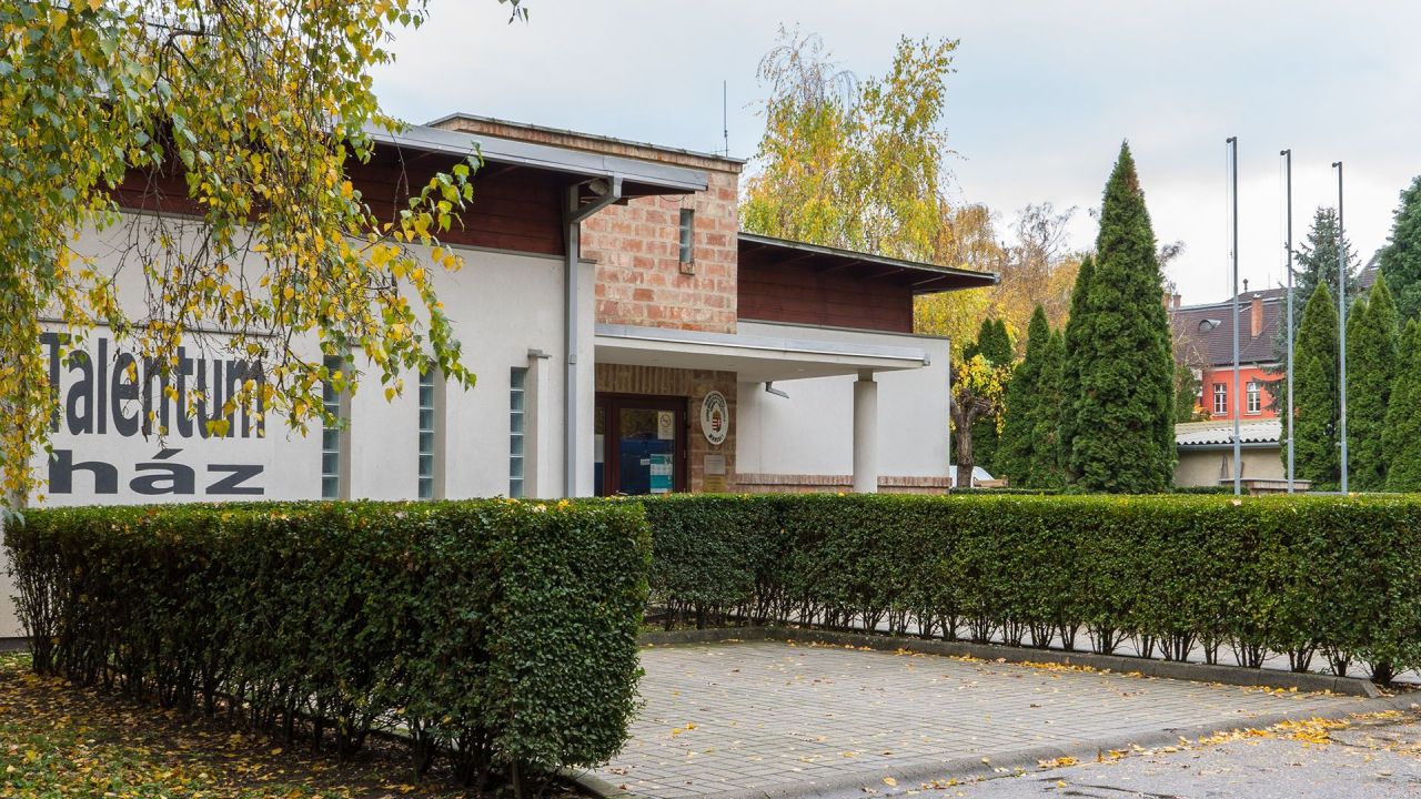 Propiedad comercial en Balaton, Hungría, 308 m² - imagen 5