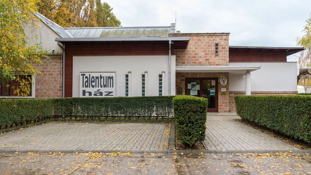 Propiedad comercial en Balaton, Hungría, 308 m² - imagen 2