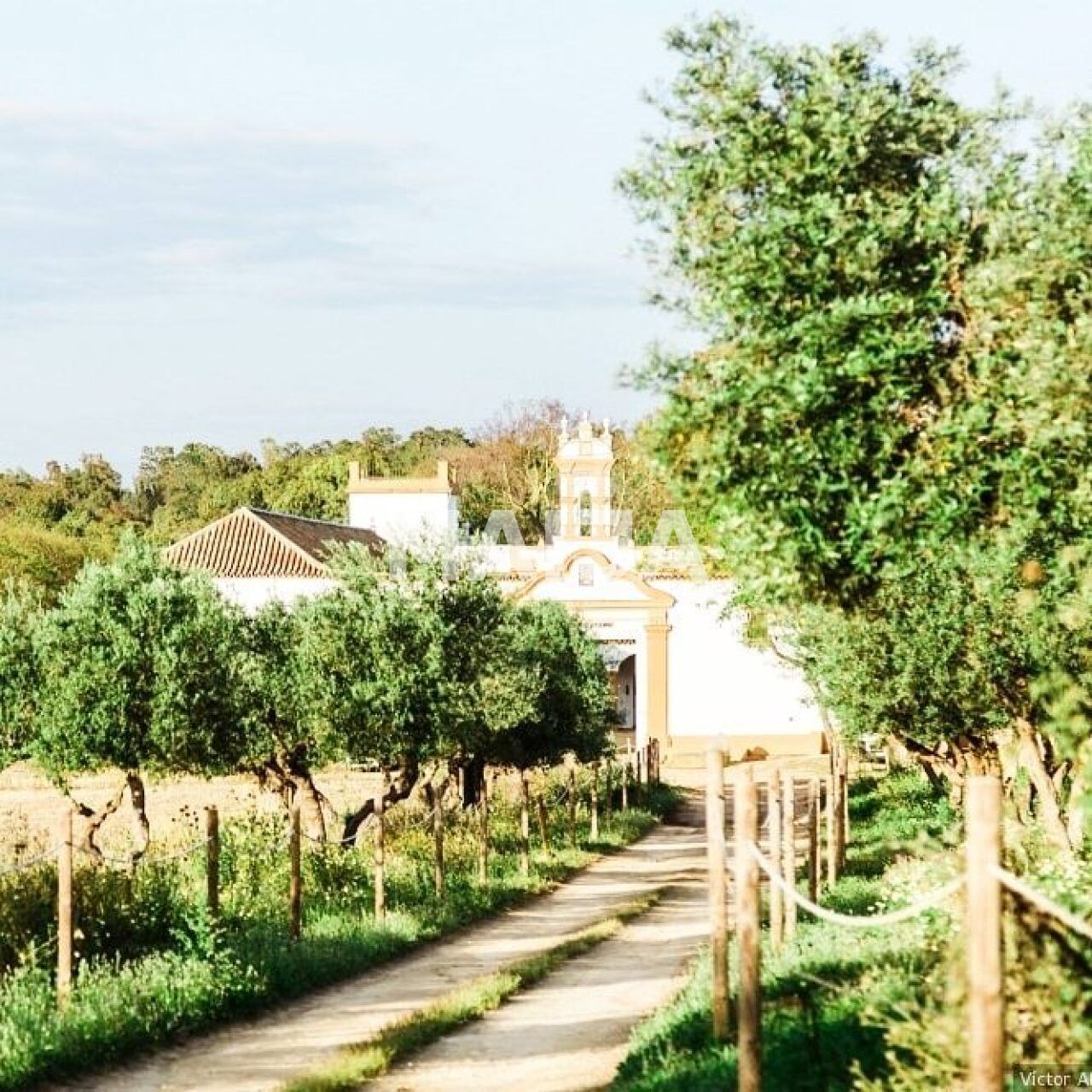 Hotel en Sevilla, España, 19 642 m² - imagen 3