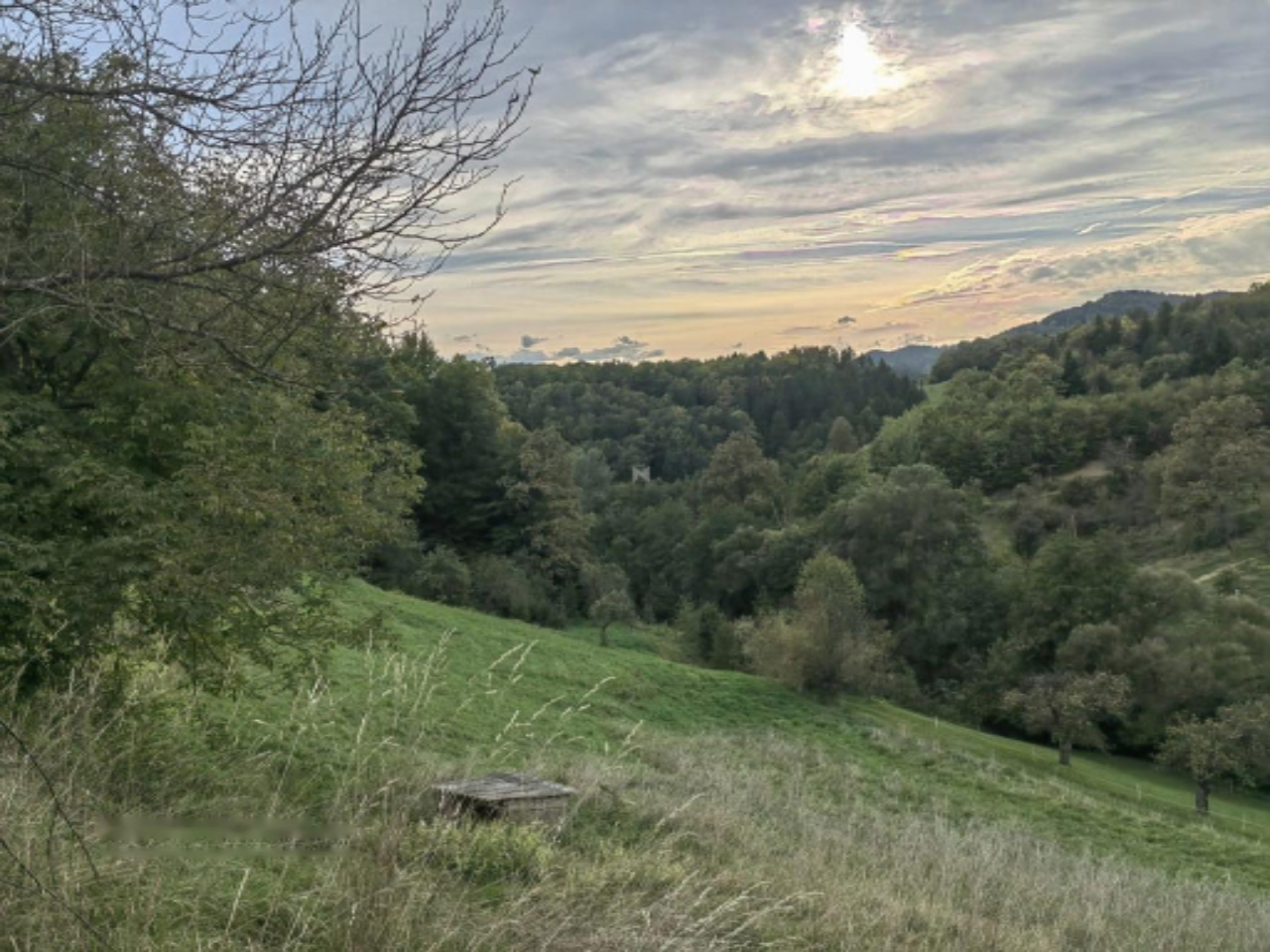 Azienda agricola a Vojnik, Slovenia, 210 m2 - foto 10