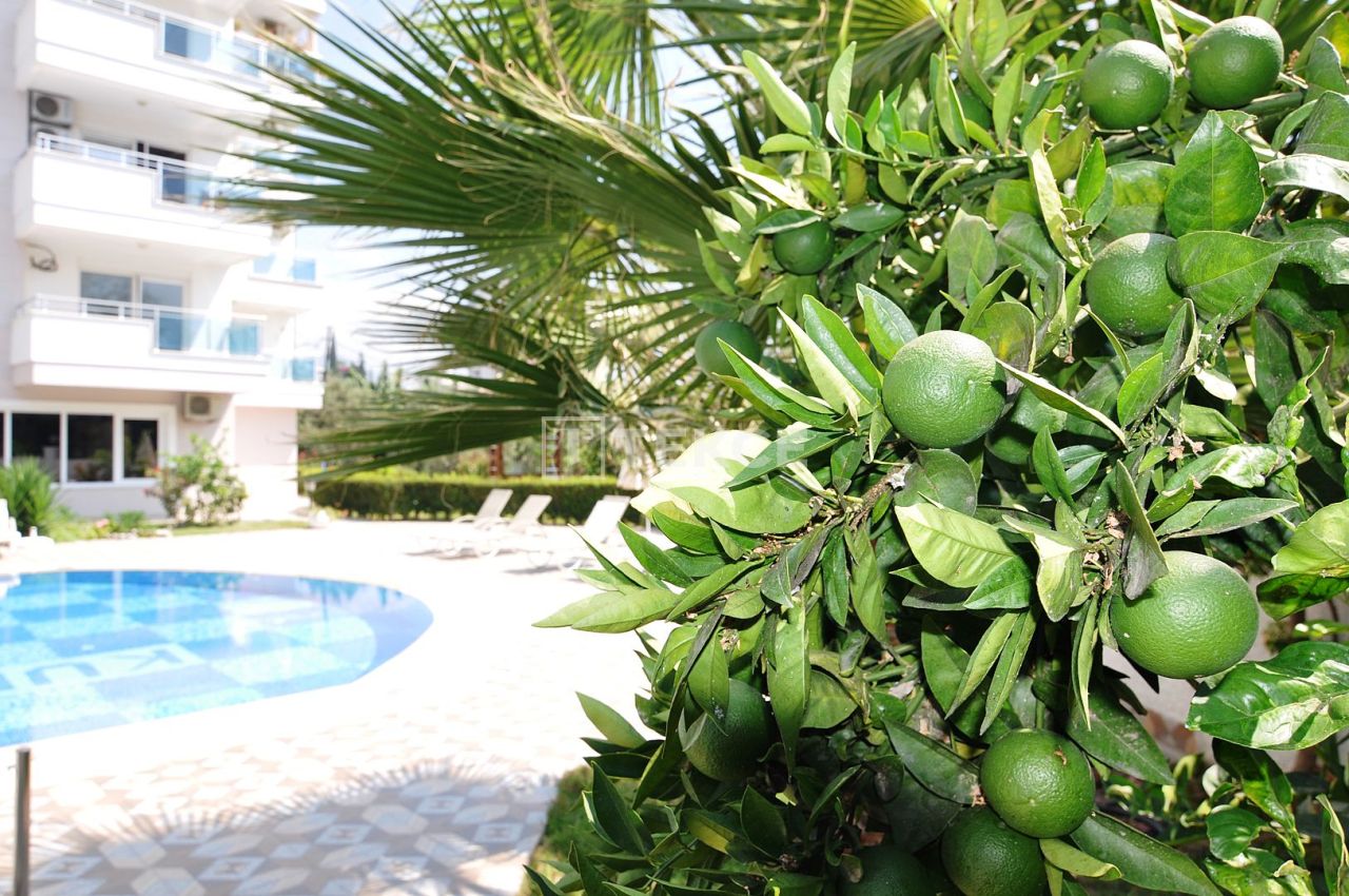 Apartment in Alanya, Turkey, 60 m² - picture 10