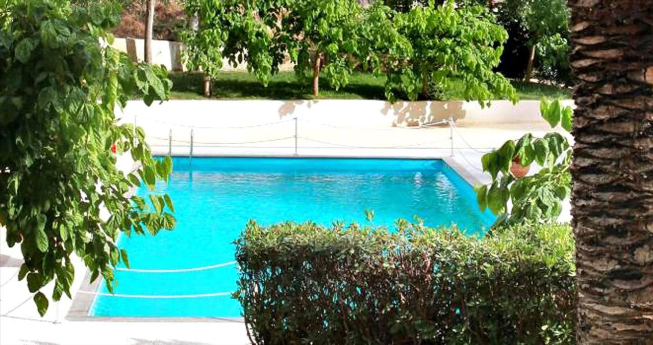 Café, restaurant en Péloponnèse, Grèce, 1 000 m² - image 5