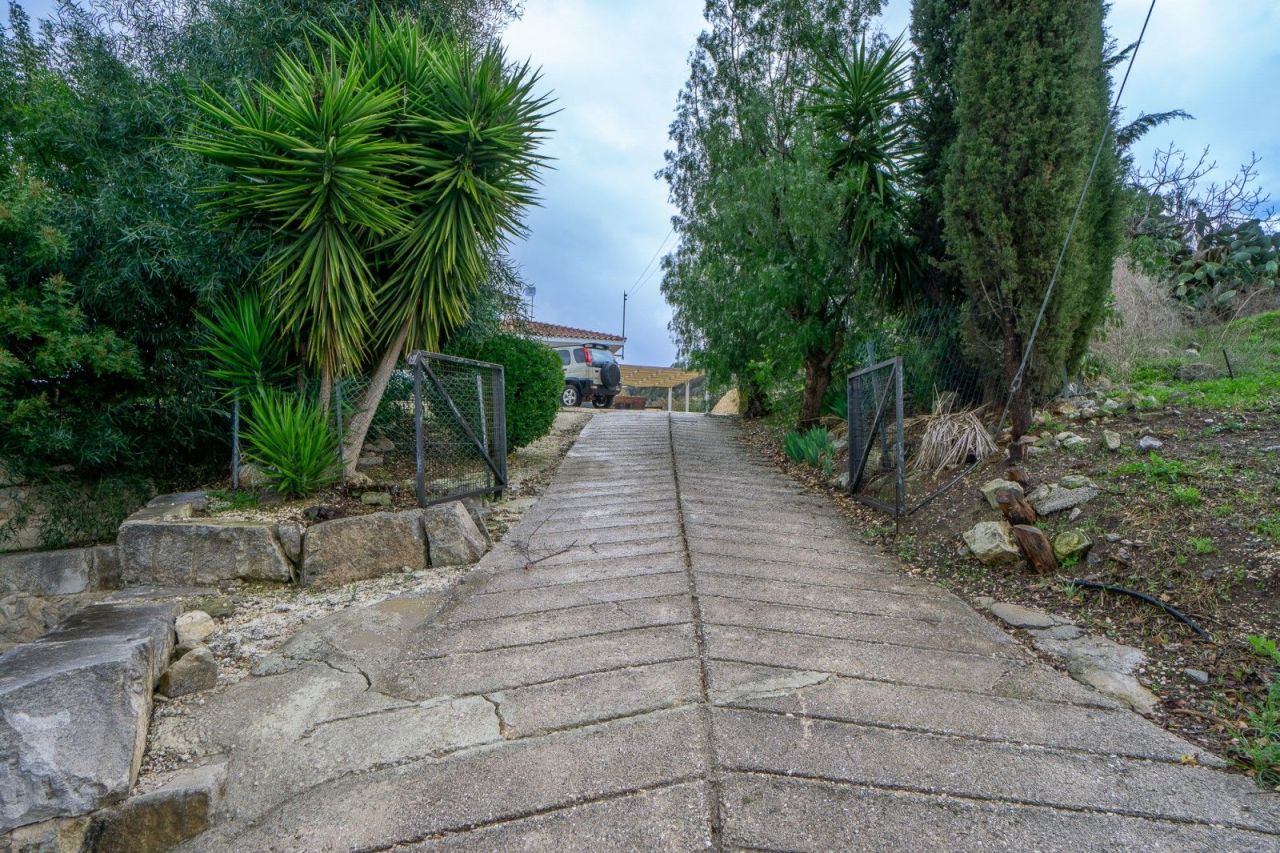 Villa in Paphos, Cyprus, 1 283 m² - picture 10