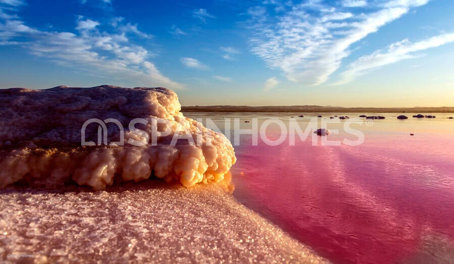 Apartment in Torrevieja, Spanien, 52 m² - Foto 8