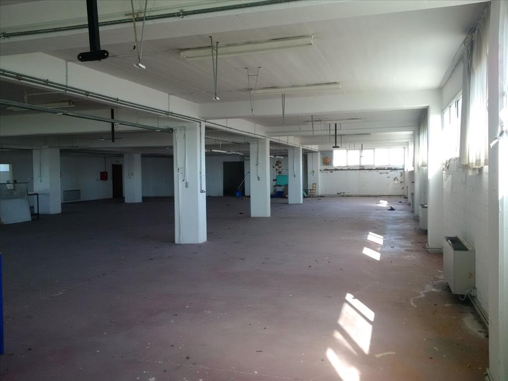 Gewerbeimmobilien in Thessaloniki, Griechenland, 7 700 m² - Foto 12