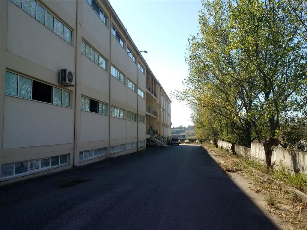Gewerbeimmobilien in Thessaloniki, Griechenland, 7 700 m² - Foto 8