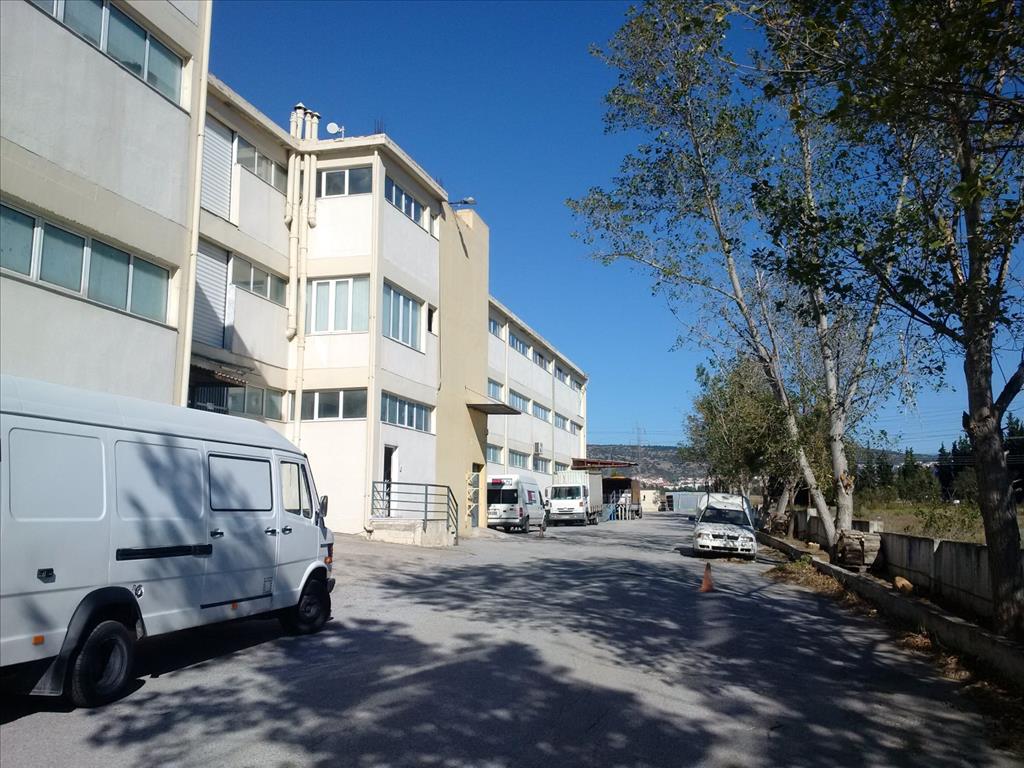 Gewerbeimmobilien in Thessaloniki, Griechenland, 7 700 m² - Foto 6