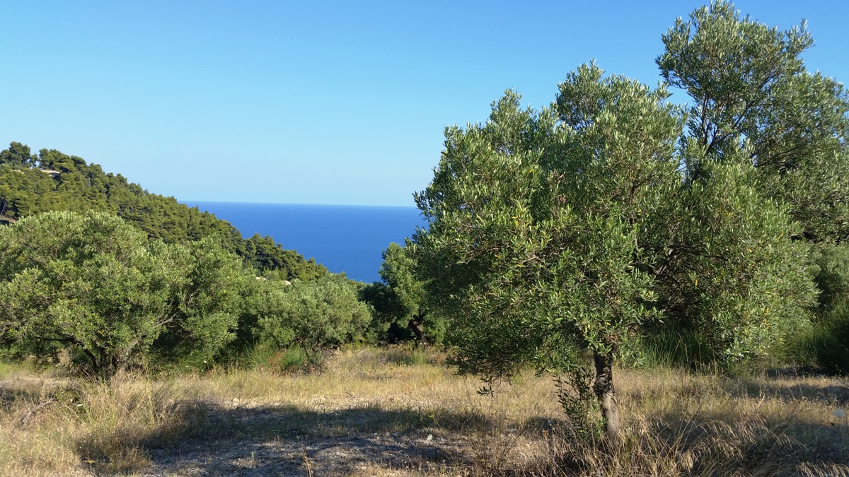 Terrain à Kassandra, Grèce, 9 100 m² - image 8