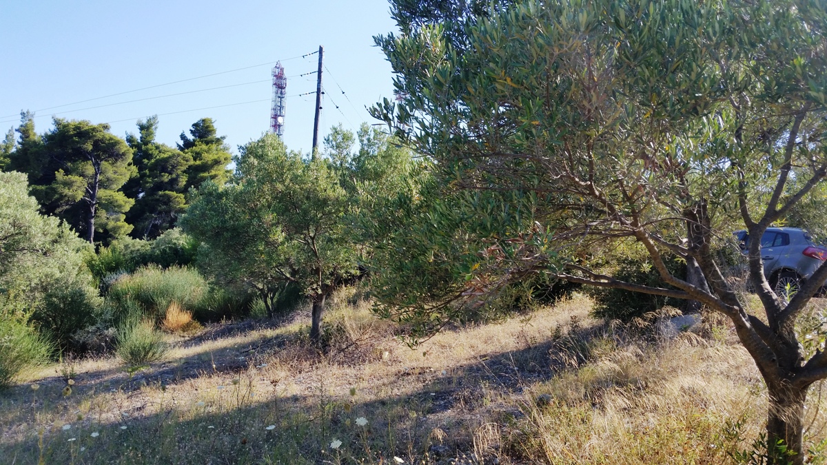 Terrain à Kassandra, Grèce, 9 100 m² - image 9