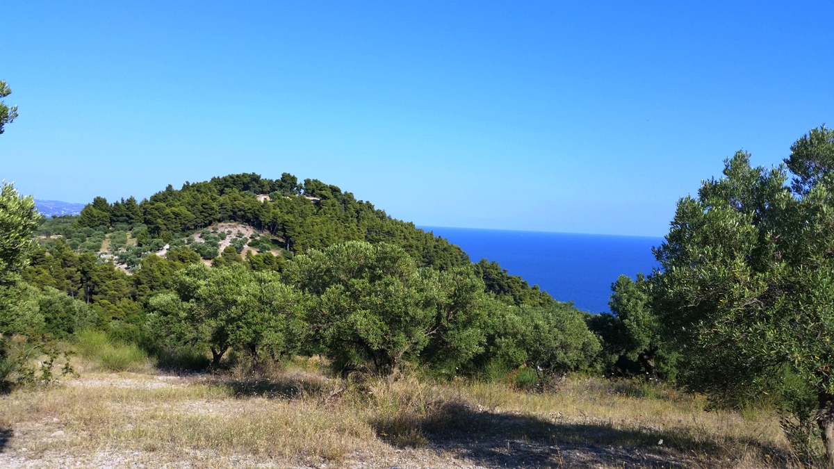 Terrain à Kassandra, Grèce, 9 100 m² - image 11