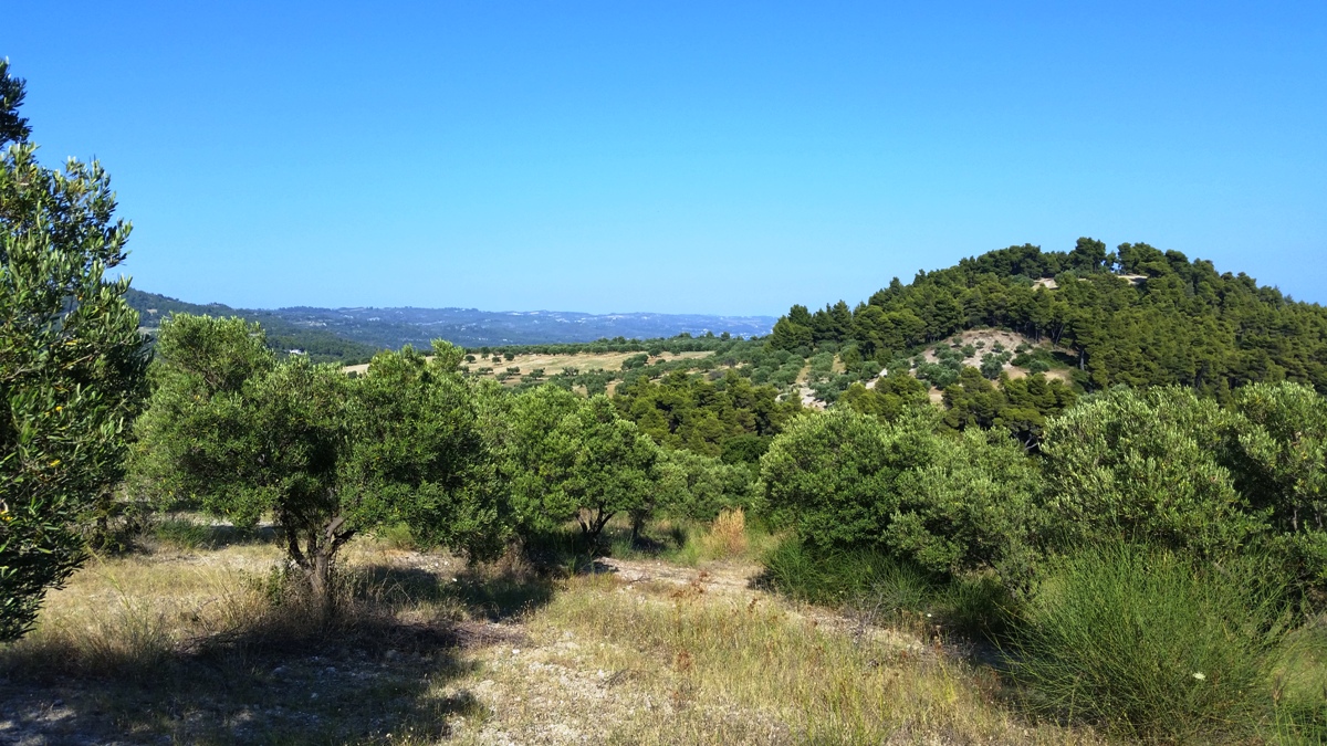 Terrain à Kassandra, Grèce, 9 100 m² - image 12