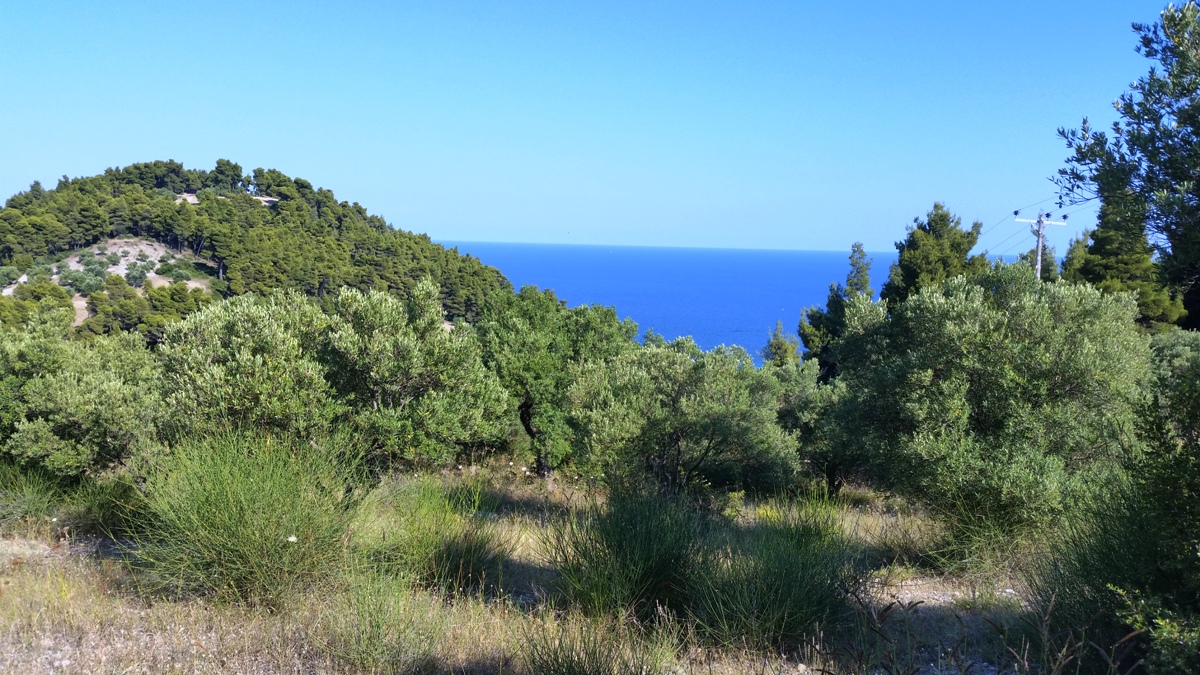 Terrain à Kassandra, Grèce, 9 100 m² - image 13