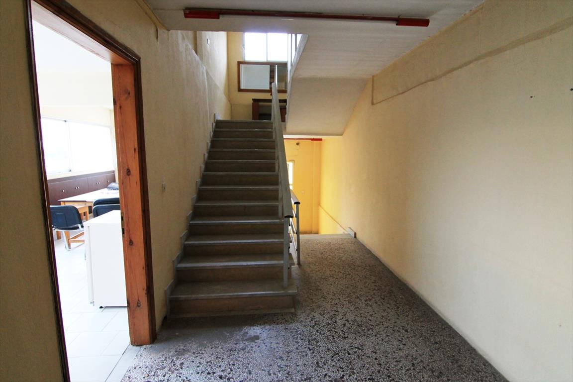 Biens commerciaux à Thessalonique, Grèce, 1 450 m² - image 8