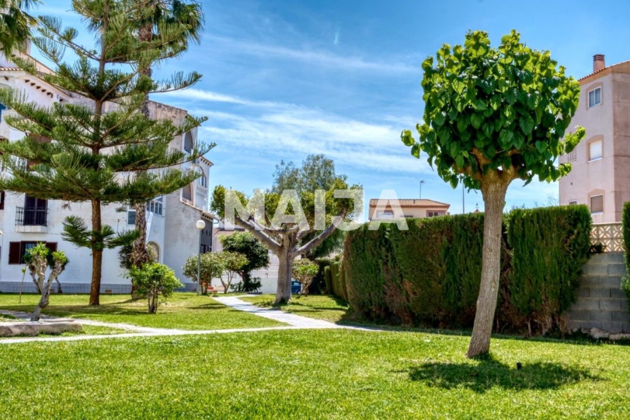 Appartement à Torrevieja, Espagne, 44 m² - image 11