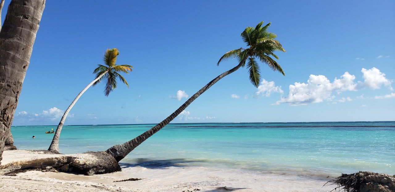 Piso en Punta Cana, República Dominicana, 51 m² - imagen 15