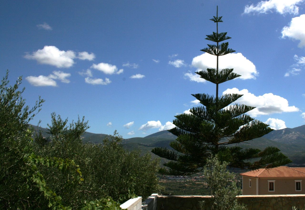 Hotel, albergo su Cefalonia, Grecia, 544 m² - foto 6