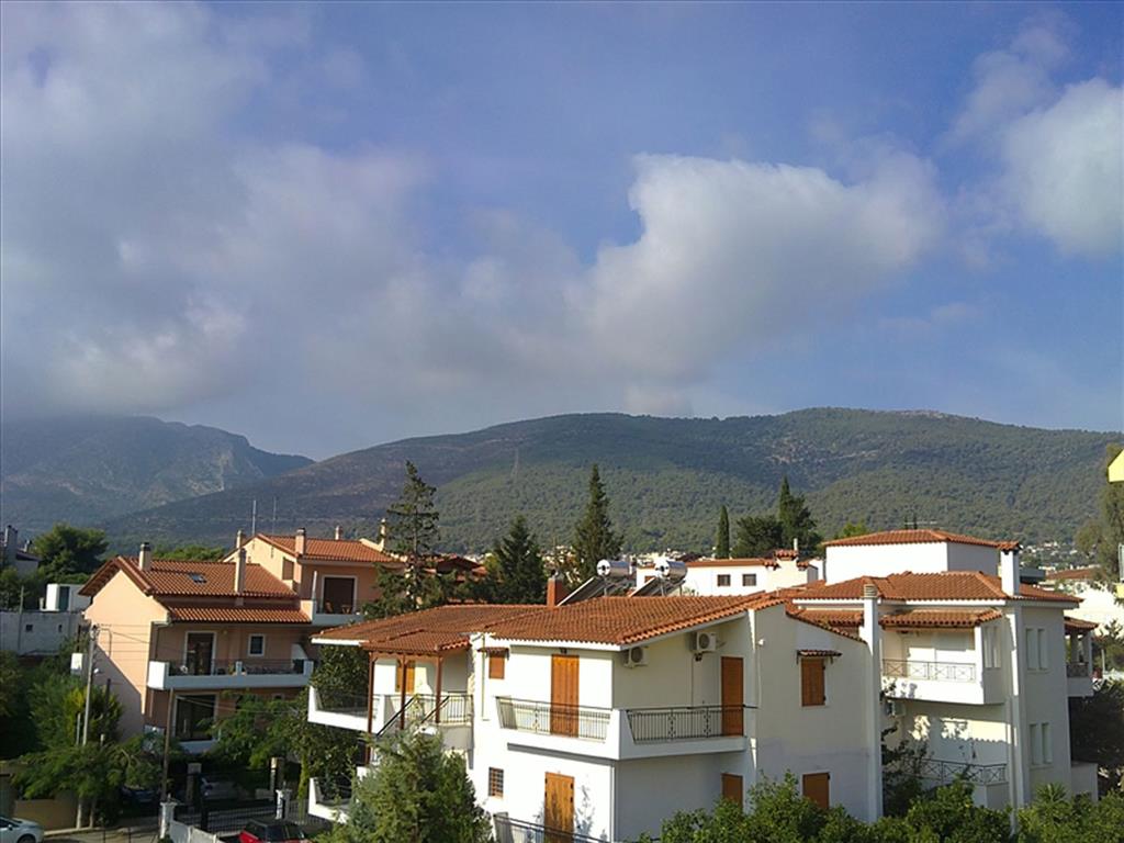 Casa lucrativa en Palini, Grecia, 1 600 m² - imagen 15