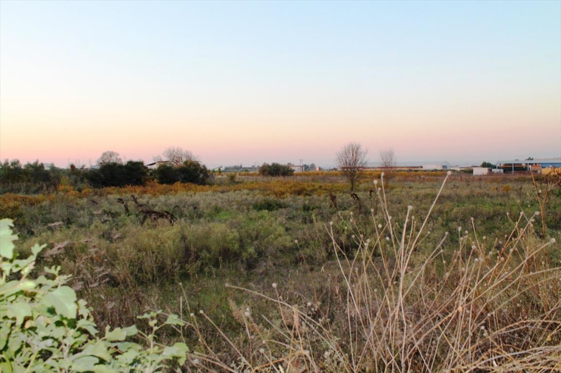 Grundstück in Thessaloniki, Griechenland, 6 600 m² - Foto 5