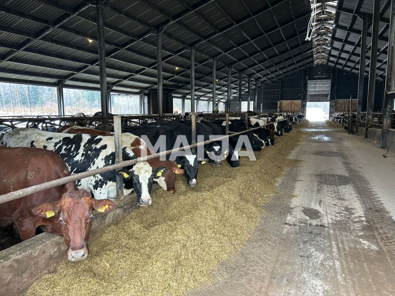 Terreno a Sigulda, Lettonia, 3 650 000 m2 - foto 1