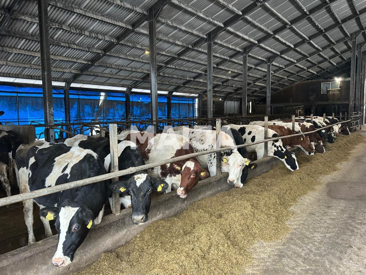 Terreno a Sigulda, Lettonia, 3 650 000 m2 - foto 3