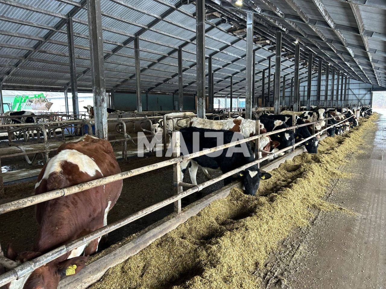 Terreno a Sigulda, Lettonia, 3 650 000 m2 - foto 4