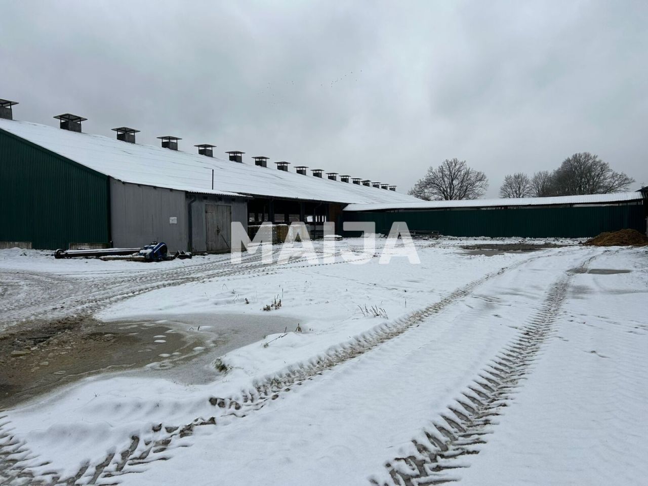 Terreno a Sigulda, Lettonia, 3 650 000 m2 - foto 7