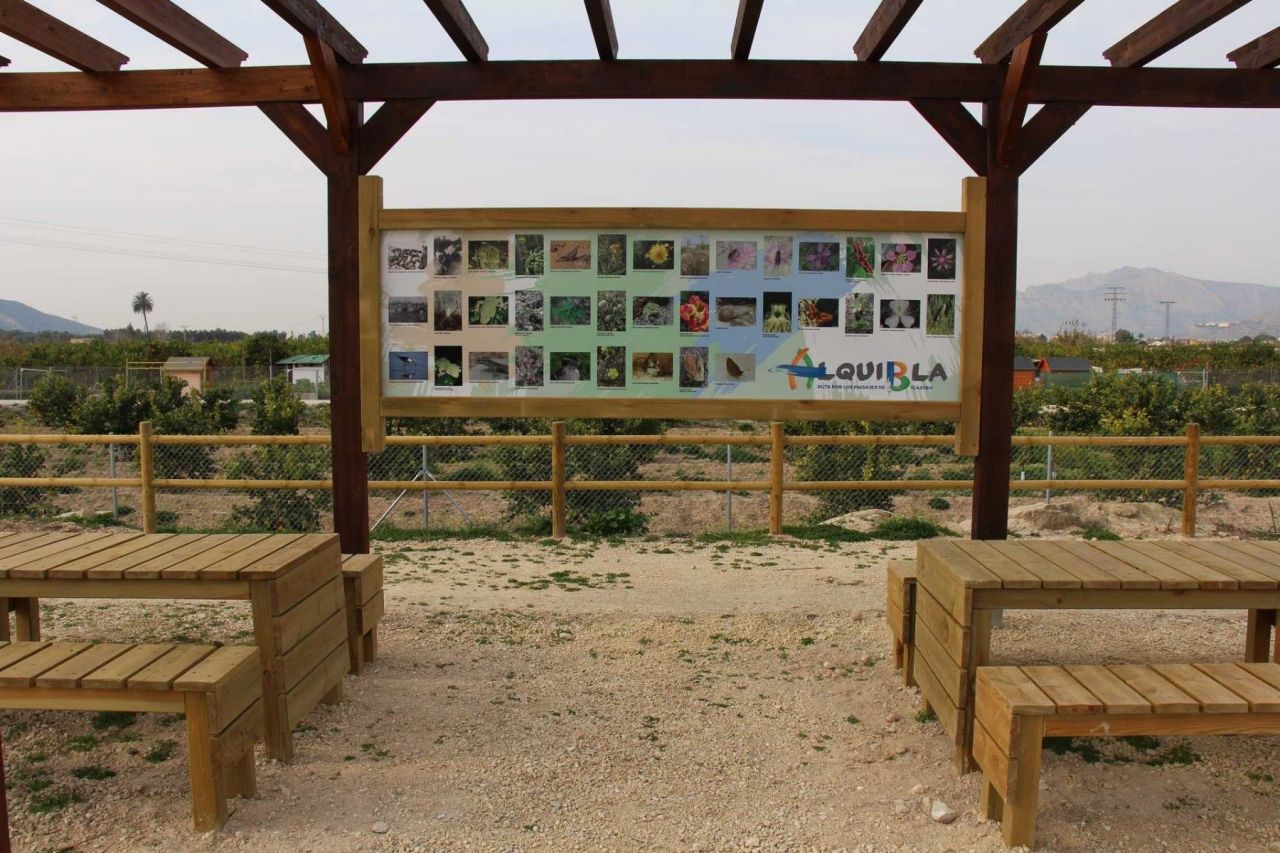 Apartment in Bigastro, Spain, 61 m² - picture 6