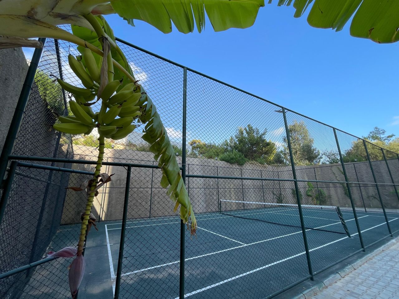 Appartement à Avsallar, Turquie, 55 m² - image 5