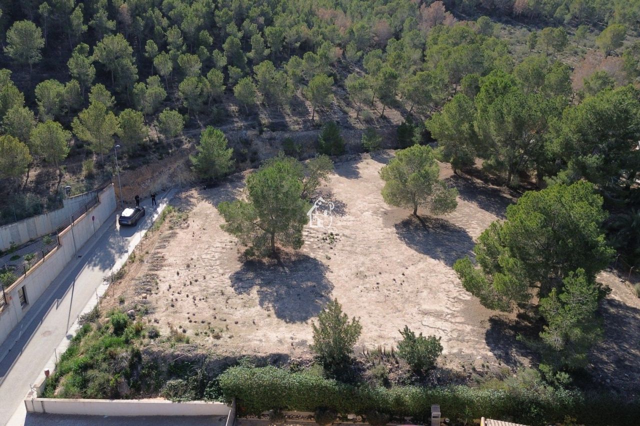 Land in Orihuela, Spain, 2 734 m² - picture 2