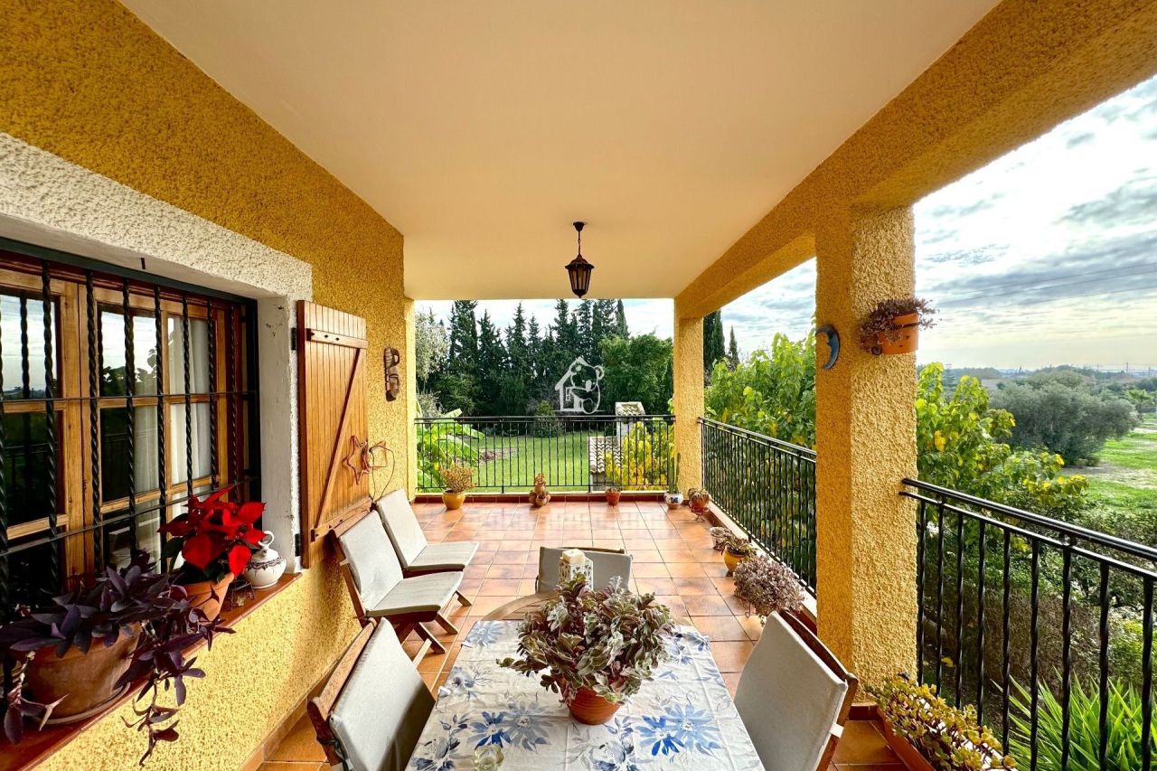 Ferme à Daya Nueva, Espagne, 350 m² - image 2