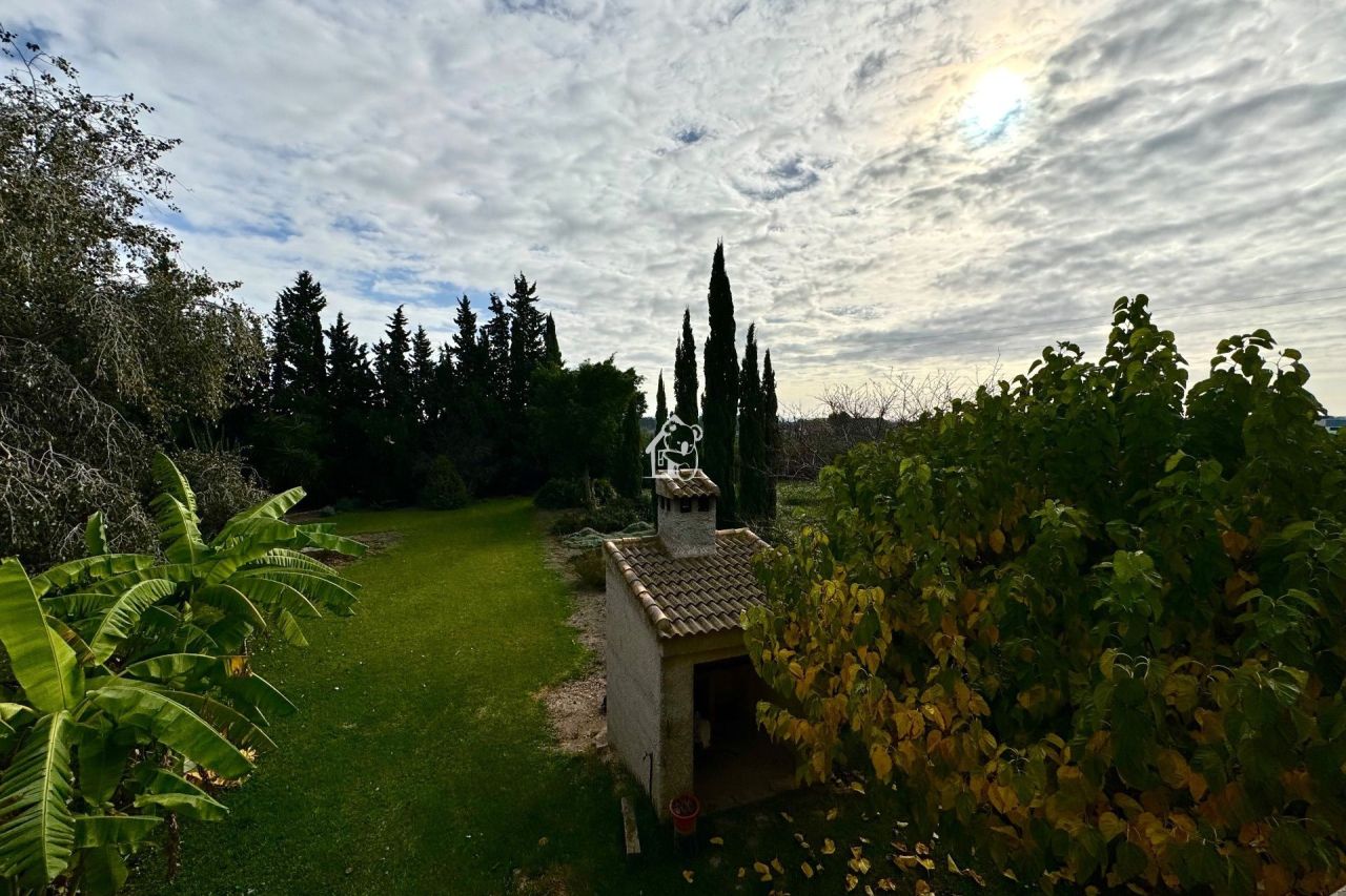 Ferme à Daya Nueva, Espagne, 350 m² - image 3