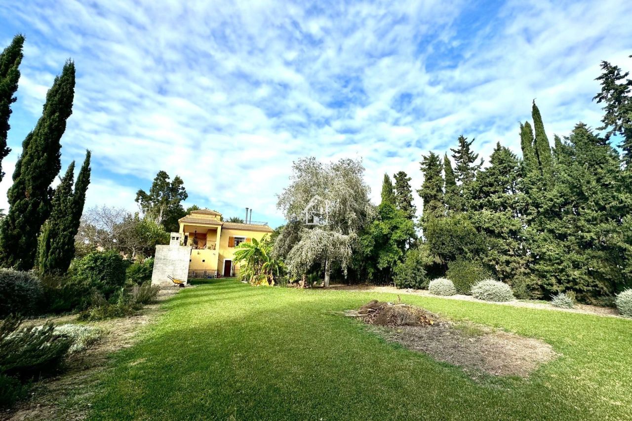 Ferme à Daya Nueva, Espagne, 350 m² - image 5