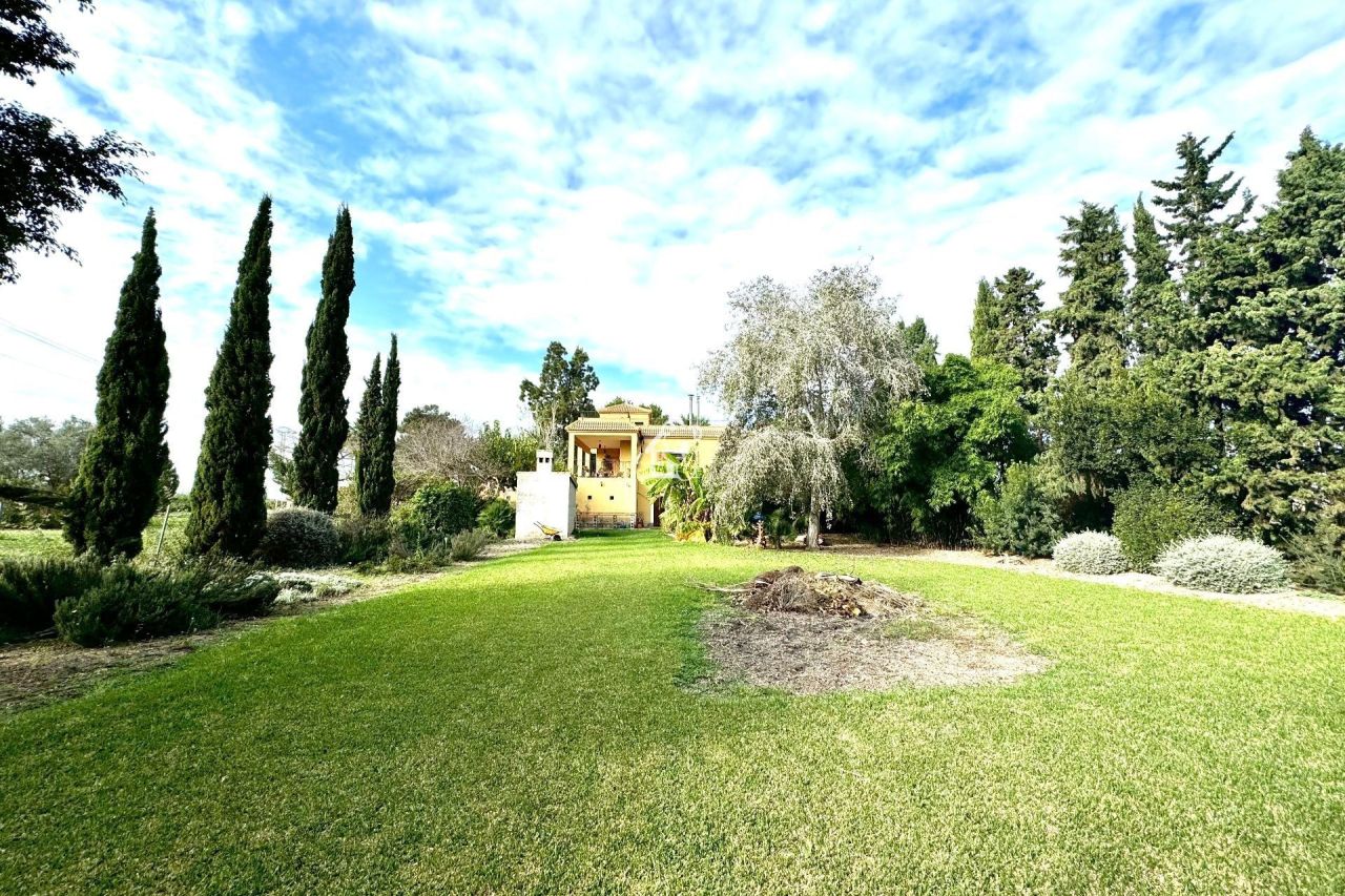 Ferme à Daya Nueva, Espagne, 350 m² - image 6