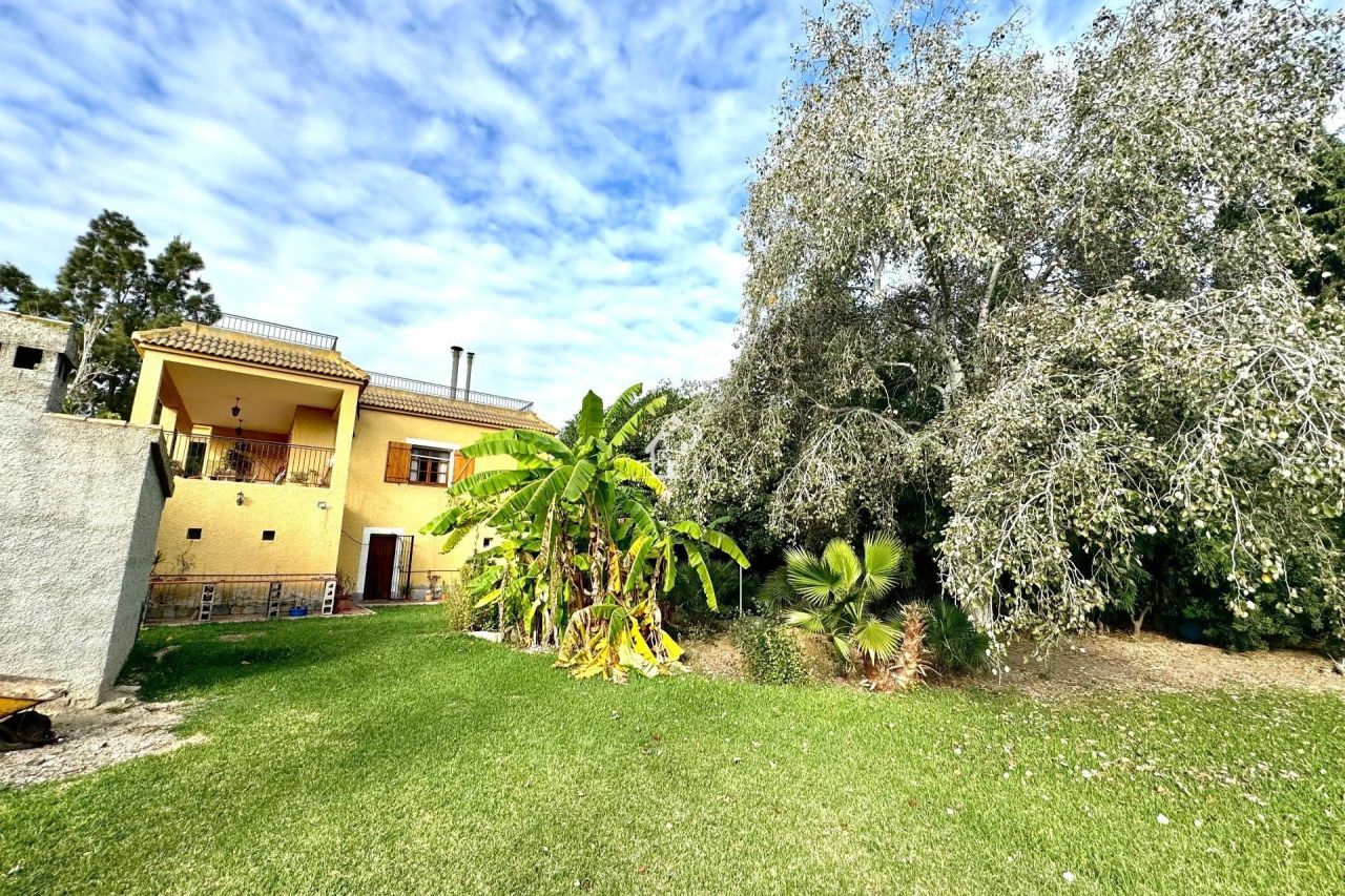 Ferme à Daya Nueva, Espagne, 350 m² - image 7