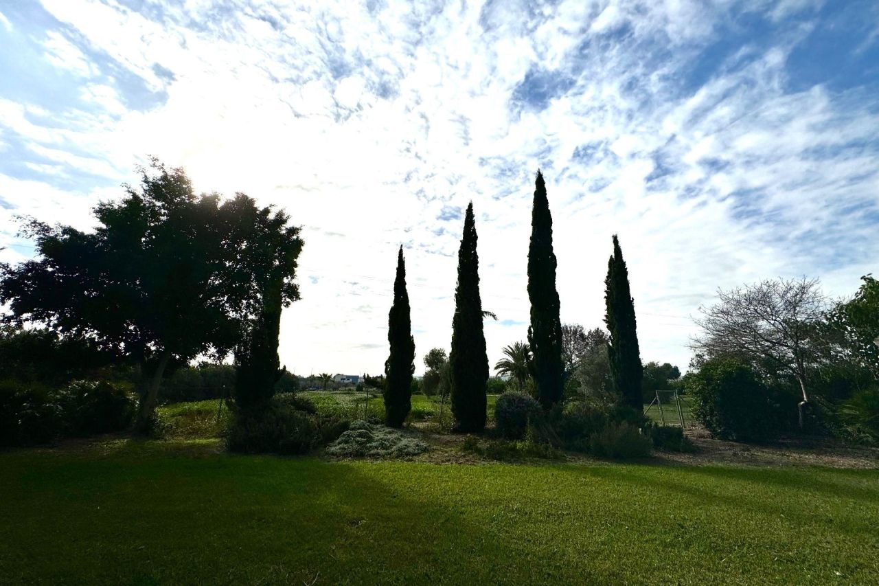Ferme à Daya Nueva, Espagne, 350 m² - image 8