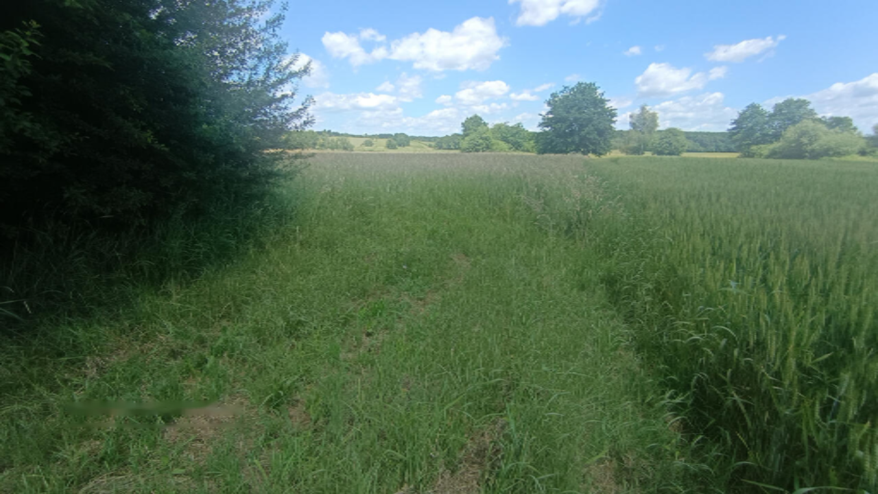 Farm in Lendava, Slovenia, 150 m² - picture 6