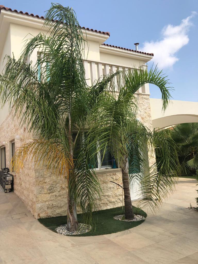 Villa in Paphos, Zypern, 326 m² - Foto 5