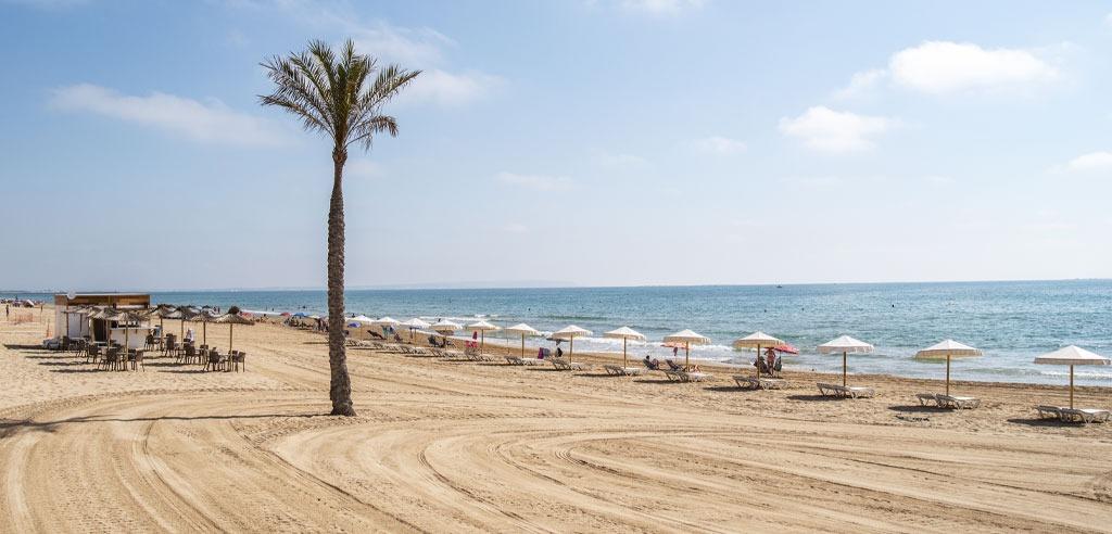 Apartamento en Guardamar del Segura, España, 72 m² - imagen 15
