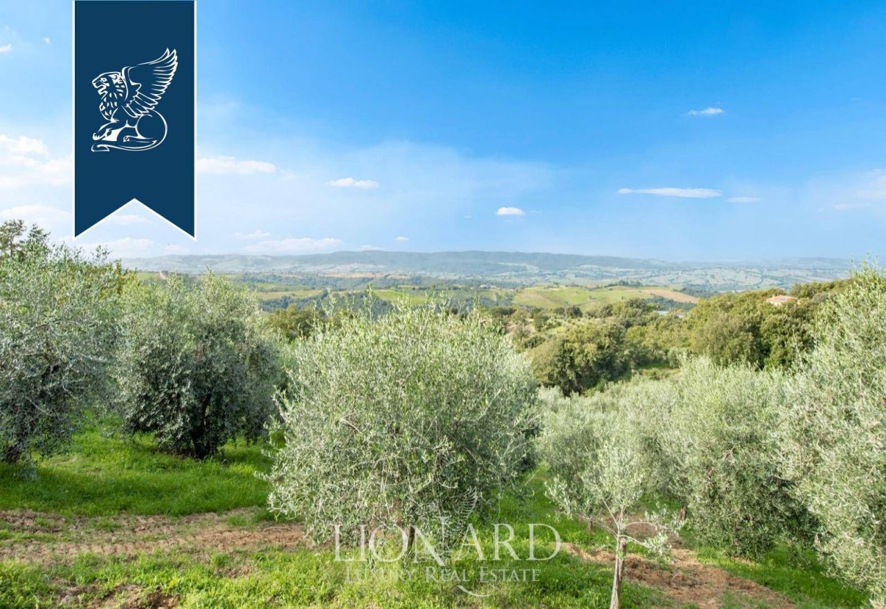 Farm in Grosseto, Italy, 300 m² - picture 10