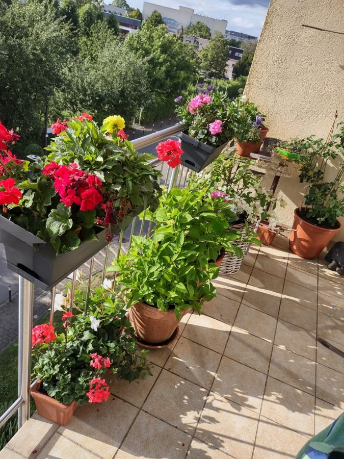 Flat in Luxembourg, Luxembourg, 117 m² - picture 2