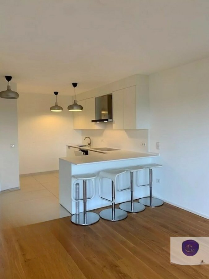 Flat in Luxembourg, Luxembourg, 180 m² - picture 6