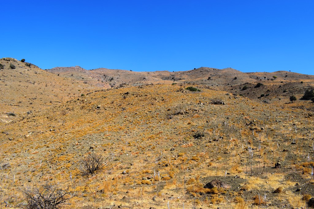 Terreno en Agios Pavlos, Grecia, 12 000 m² - imagen 4