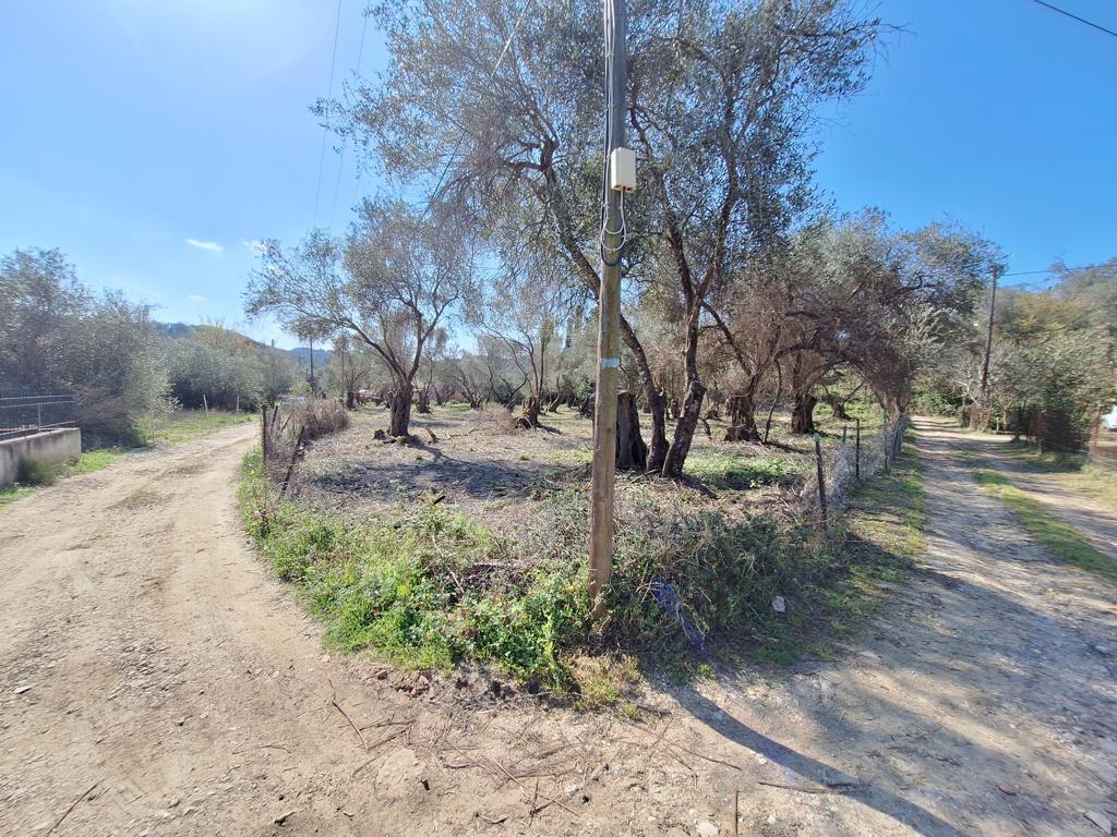 Terrain sur Corfou, Grèce, 3 533 m² - image 7
