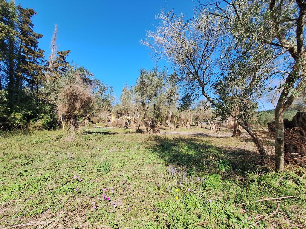 Terrain sur Corfou, Grèce, 3 533 m² - image 1