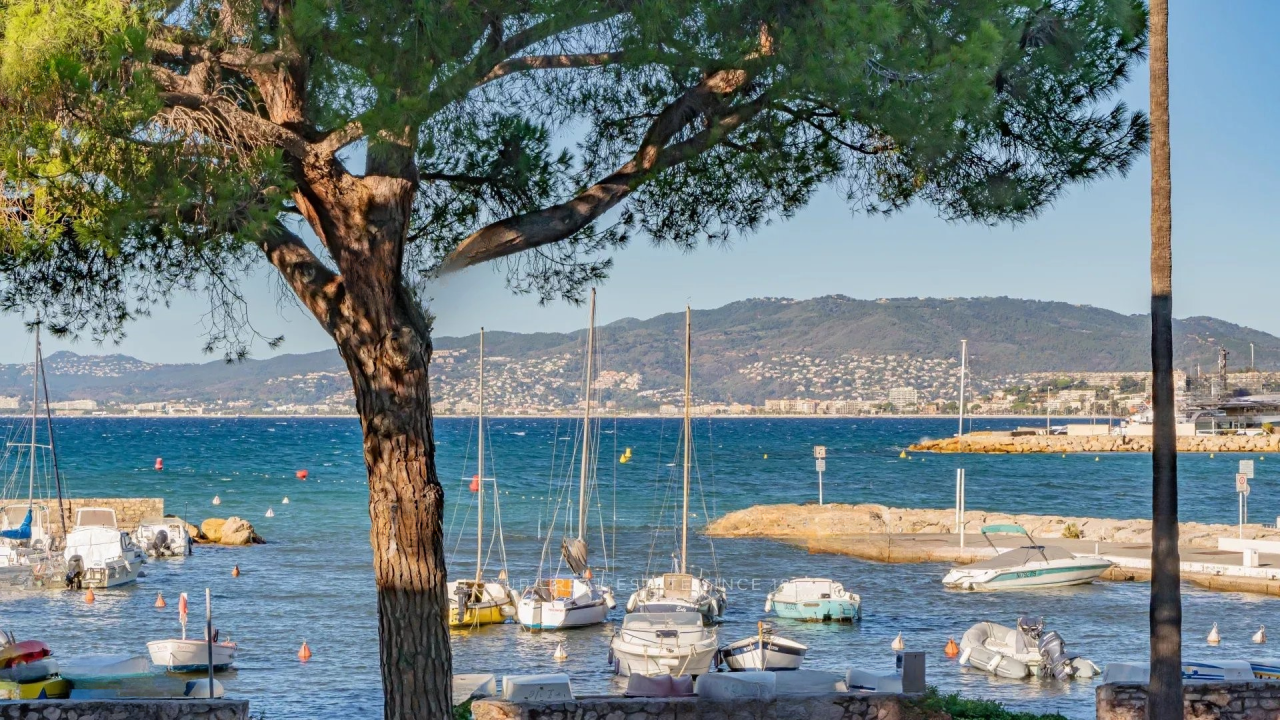 Haus in Cannes, Frankreich, 52 m² - Foto 3