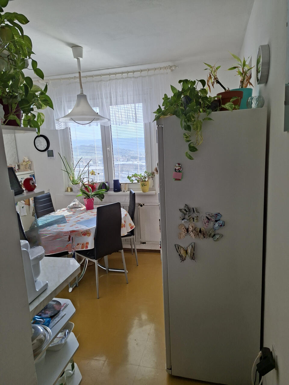 Flat in Koper, Slovenia, 57 m² - picture 7