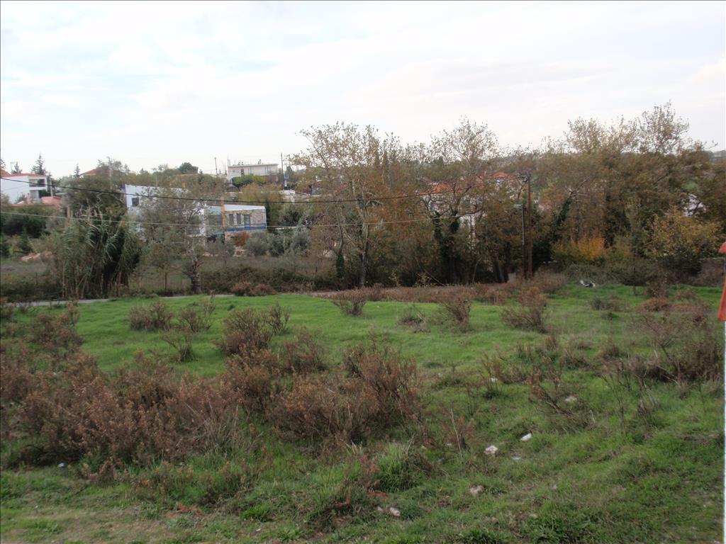 Land in Athens, Greece, 4 000 ares - picture 13